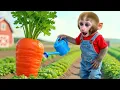 Download Lagu Monkey Nana Drives a Tractor and the Unexpected Adventure of the Giant Carrot - NANA MONKEY LIFE