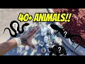 How many REPTILES can I buy at the Largest Reptile Expo in the Country