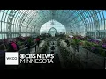 Nature lovers find respite from cold at St Paul conservatory