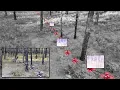 Monocular Event-Based Vision for Obstacle Avoidance with a Quadrotor CoRL 2024
