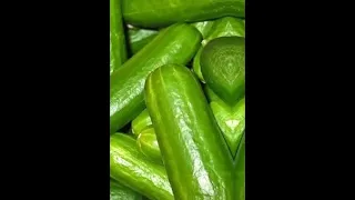 كيلو طماطم كيلو خيار تبقى حبيبي شو ما صار الفيديو Shorts 