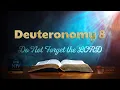 The Book of Deuteronomy Chapter 8 Do Not Forget the LORD NIV Bible