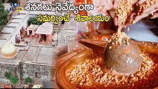 శనగలు నైవేద్యంగా సమర్పించే  శివాలయం | Rinmukteshwar Mahadev Temple Omkareshwar | Offer Chana Dal