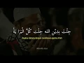 Download Lagu story wa sholawat baper 30 detik | sholawat ya habibal qolbi