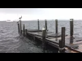 Tide Tables post-Tropical Storm Colin