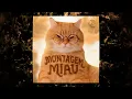 MONTAGEM MIAU (TikTok version)