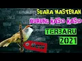 Download Lagu MASTERAN BURUNG KASO KASO TERBARU 2021