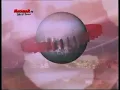 Download Lagu OBB Makassar Info Makassar TV (2012-2013) 