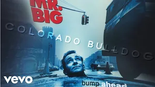 mr big colorado bulldog audio 