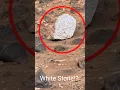 Download Lagu White Stone on Mars Captured by Curiosity Rover #shortvideo
