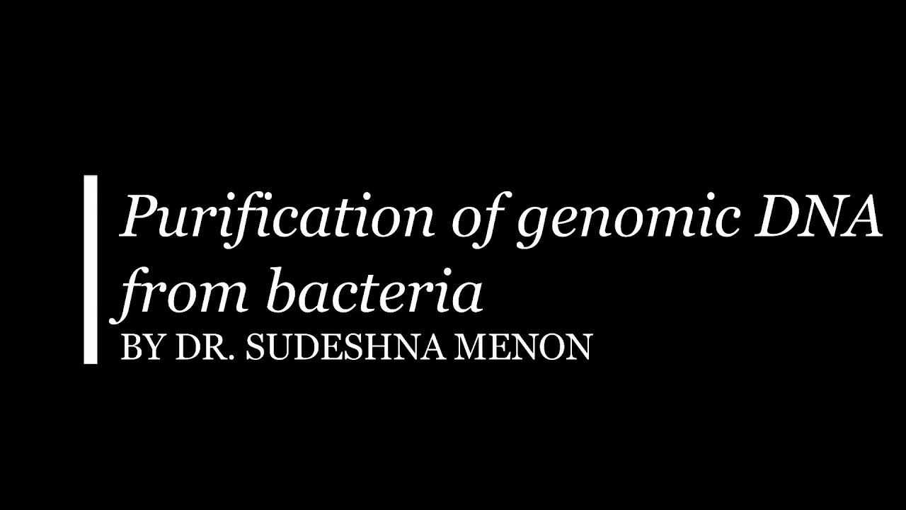 Purification of DNA from bacteria
