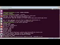 How to check bash version