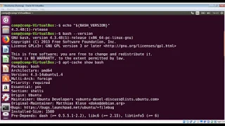 How to check bash version