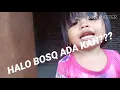 Download Lagu Halo bosku ada kah???