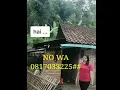 Download Lagu janda cantik cari jodoh.