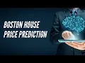 Machine Learning using Python - Project assignment for Skyfi Labs Online Course by Andrea Fernandes