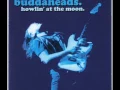 Download Lagu BUDDAHEADS - Nothing to lose