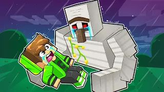 The saddest story of the Iron Golem