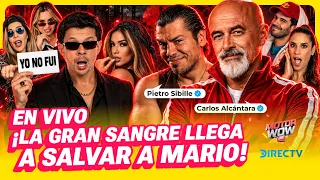 CARLOS 'CACHÍN' ALCÁNTARA Y PIETRO SIBILLE SALVAN A MARIO HART - SIN MÁS QUE DECIR
