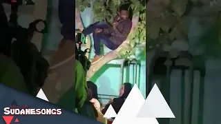 المبدع صلاح ولي الوصية من فوق الشجرة 2019 