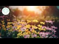 Download Lagu Laat stress en spanning los met de zomertuinmeditatie