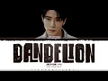 Download Lagu JAEHYUN 'Dandelion' Lyrics (재현 Dandelion 가사) [Color Coded Han_Rom_Eng] | ShadowByYoongi