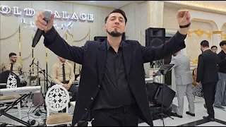 Wedding 2026 Свадьба Лезгинка ALISHKA Танцует Поет Хит Гогия Lezginka Dance Balaken Toy Девочка Стоп