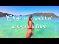 Analua - Armandinho - Letra / Lyric
