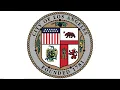 Civil Rights Equity Immigration Aging and Disability Committee - SAP