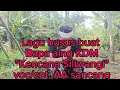 Download Lagu Kencana siliwangi'lagu husus buat bapa aing KDM(@aasancang Chanel)