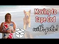 Moving to Cape Cod with Pets