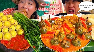 WAY MINTA AMPUN KEPEDASAN 😂, GULAI PEDAS DAGING REBUNG TERONG 🔥🤤🥵‼️