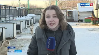 Аномальные холода — трудное время не только для людей