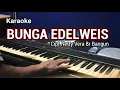 Download Lagu BUNGA EDELWEIS | Karaoke lagu karo