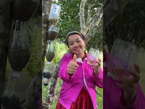 ✅Wild Survival Skills: Filter Muddy Water 🔥💧#camping #bushcraft #outdoors