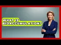 What Is Bioaccumulation - Exploring Campgrounds