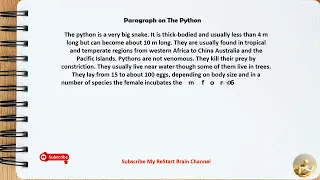 Paragraph on The Python