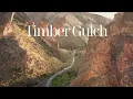 Exploring Timber Gulch in Oregon
