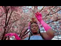 Download Lagu Nobuhle - Imali (Official Music Video) Ft Master KG x Casswell P