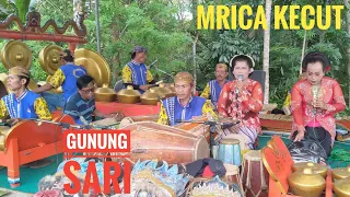 Download GUNUNG SARI BOWO MRICA KECUT EBEG BANYUMASAN SEKAR BUDAYA DAMAR SEJATI MP3