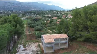                     دندنها