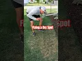 Download Lagu Fixing Dry Spots in the Lawn #diy #lawn #lawncare #repair #howto