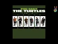The Turtles - 09 - You Baby (by EarpJohn)