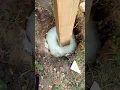 Fix Broken MailBox with Foam