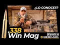 THIS IS THE 338 WINCHESTER MAGNUM CALIBER a cartridge with devastating stopping power