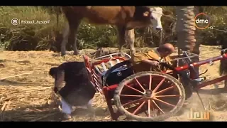 صاحبة السعادة لطفي لبيب خلى الحصان يوقع كريم عبد العزيز ف الترعة شوف بنفسك 