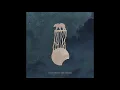 Feed Me To The Waves - It's Really Nice Weather Down Here
