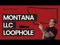 Whistlin Diesel s Montana LLC Case Tax Attorney Breakdown