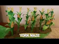 Making the CORN STALKS