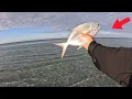 SURF FISHING PANAMA CITY BEACH Multiple Species